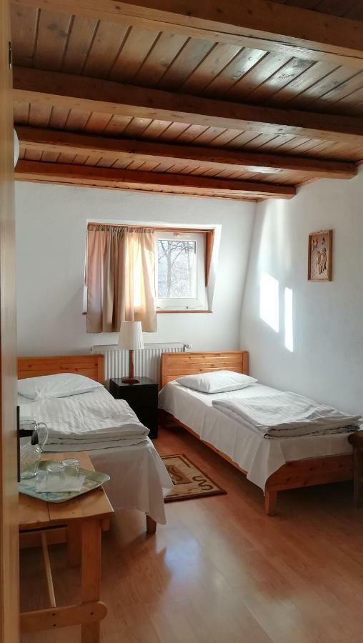 Pensiunea Amo Vălenii de Munte Dış mekan fotoğraf