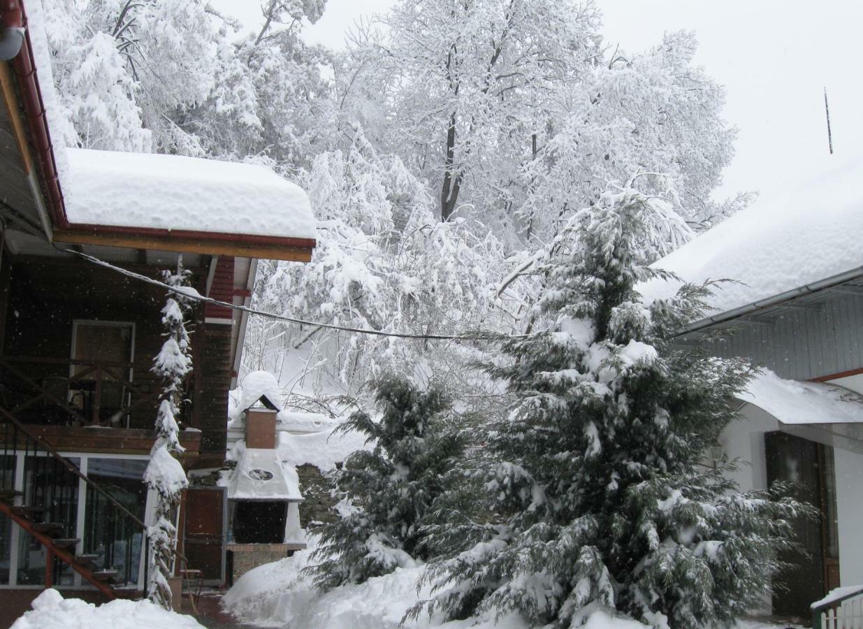 Pensiunea Amo Vălenii de Munte Dış mekan fotoğraf